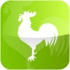 Rooster